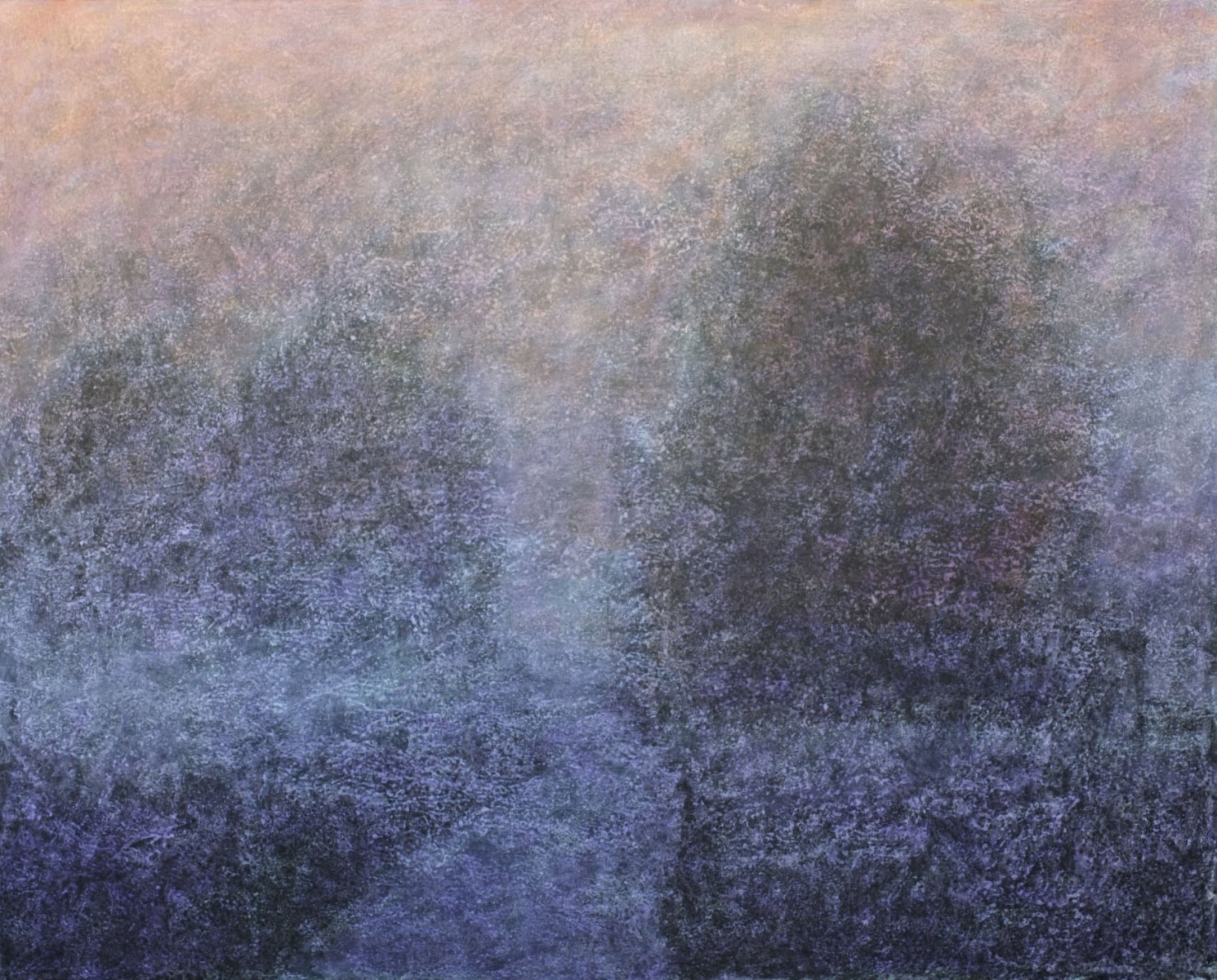 Tomasz Mistak Gallery Katarzyna Napiorkowska (2)